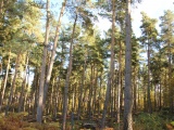 Tn IMG 1622